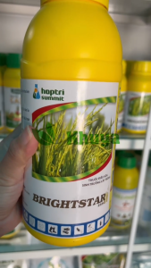 Điều hòa sinh trưởng Hợp Trí BrightStar 25SC 1 lít Paclo 25% dang nước Paclobutrazol 25% Dạng Nước Thuốc Chống Sập Cho Cây Trồng Tăng Năng Suất Lúa Và Chống Đổ Ngã - Lazada
