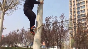 Talon อุปกรณ์ปีนต้นไม้ อุปกรณ์ปีนเสาเครื่องมือปีนต้นไม้ เข็มขัดนิรภัยคาดเอว ช่วงที่ปรับได้ 200*400mm