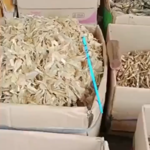 Elink Lem Lalat Stick 10 Isi Tangkai + 1 Dudukan Super Lengket – Lem Lalat Sedotan Perangkap Lalat Lem Perekat Lalat Sedotan Lem Lalat Isi 10 Batang