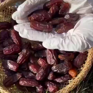 BUY 1 GET 1 500G DRIED DATE PALM ZISPY Saudi Dates Fruits VIP Premium Quality -Black date palm Natural zero added Soft Gold Black Dates Pitted Dried Dates Healthy