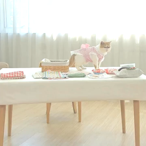 Portable Sewing Machine Household Metal presser foot built-in LED lighting sturdy and Durable Mini Electric Sewing Machine Multifunctional fast/slow two gears Sewing Machine KitsWith Expansion Board Ideal For Beginners