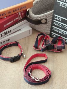 Dây dắt + yếm chó mèo từ 1kg - 10kg - T3 PETS SHOP