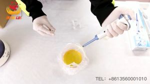 10ul / 200ul / 1ml Laboratory Pipette Tips Disposable Pipette Gilson Tip For Liquid Transfer