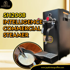 SH-200B Steamer Machine/ Steam water boiler machine/ Milk bubble machine 8L
