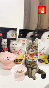 [1.5KG/COMBO ] Cats Eye Premium - Thức ăn hạt Cats Eye Premium phiên bản nâng cấp cho mèo mọi lứa tuổi