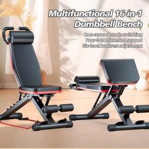Dumbbell bench Bench press bench Sit-up board Home professional fitness chair Multifunctional Roman chair Back extension Free Pull Rope