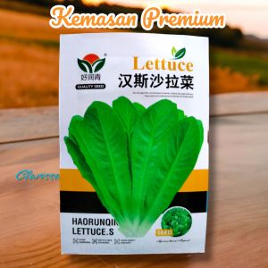 (KEMASAN PREMIUM) BIJI/BENIH SELADA ROMAINE HIJAU (isi -+2.000 Butir)