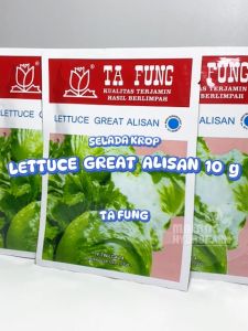 Benih Selada Krop Lettuce Great Alisan 10 gram Ta Fung chinese kale cina china kaelan unggul bibit berkualitas tafung hidroponik biji