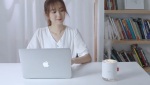 Air Humidifier เครื่องพ่นไอน้ำ เครื่องทำให้ชื้น 500ml