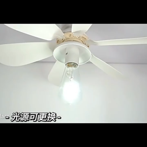 RHPOAGive lamp holder E27  Threaded Ceiling Fan Light LED Fan Light  Easy Installation