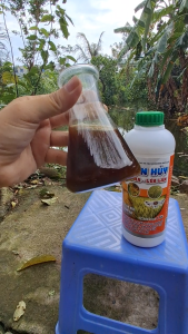 TUYẾN TRÙNG RỄ TRICHODERMA – BACILLUS Chai 1 lít. Xử lý tuyến trùng rễ u rễ sần rễ.