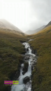 Procella Springbed Solitude pocket spring dobel plushtop pillowtop anti bacterial shield matras & full set kasur promo Furniture Busa tebal