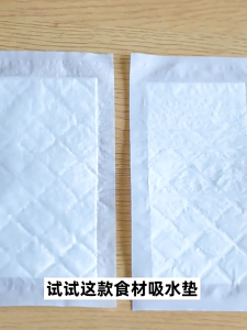 Rapid Absorbing Food Preservation Pads 50Pcs Kitchen Tool for Meat Fish Poultry Produce Packagin Dry