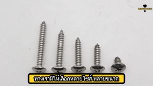 น็อต สกรู หัวร่ม หัวกระทะ แฉก T+ สแตนเลส 304 เกลียวปล่อย M3 / Truss an Head Phillip Tapping Screw SUS304 M3