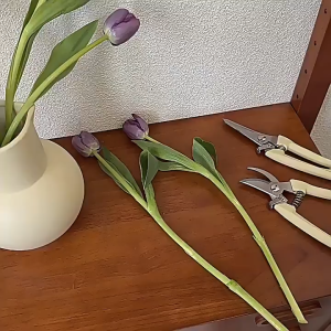 กรรไกรตัดกิ่งไม้ ตกแต่งกิ่งไม้ ตัดดอกไม้ เก็บผลไม้ ขนาด 6.5 นิ้ว แบบปากโค้ง 17 cm / ปากตรง 19 cm ด้ามจับสีครีม พร้อมตัวล็อคเปิด-ปิดใบมีด ส่งในไทย!!