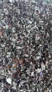 Black MintTea | ชาแบล็คมินต์