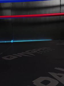 GINGPAI | Fighting Sport Shoes High Ankle