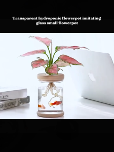 【Buy 1 Take 5】Nordic Transparent Hydroponic Vase – Minimalist Plant Propagation Pot Stylish Home & Office Décor Automatic Water Absorption Propagation Pot for Home & Office