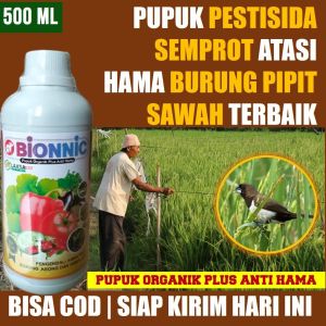 500 ml BIONNIC Pestisida Semprot Pengusir Hama Burung Pipit Padi Sawah - Pupuk Cair Pengendai Hama Burung Pemakan Padi - Pupuk Semprot Pembasmi Burung Pipit / Piyik / Piit Terbaik Paling Bagus - Obat Pembasmi Burung Pada Padi Sawah 100% ORIGINAL