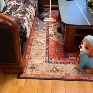 Bộ Dụng Cụ Làm Sạch Lông Thú Cưng Lông Mèo Sàn Nhà Quần Áo Gia Dụng Gồm Cây Lăn Bụi Có Thể Thu Gọn Và Đầu Thay Thế