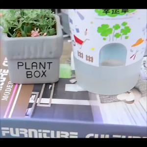 ถ้วยปลูก ชุดปลูกดอกไม้ ชุดปลูกผัก ชุดพร้อมปลูก รดน้ำอัตโนมัติ ทานตะวัน สตรอว์เบอร์รี่