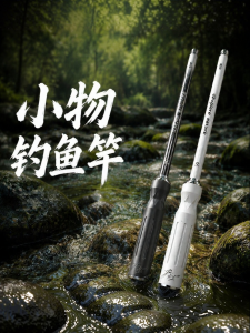 YUZHIYUAN | Portable Short Small Fishing Rod Set