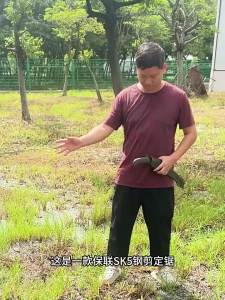 Cưa Tay Kiểu Nhật BAOLIAN Thép Carbon Cao Dụng Cụ Chế Tác Gỗ Dùng Cho Làm Vườn Khai Thác Gỗ Và Cắt Tỉa Trong Gia Đình