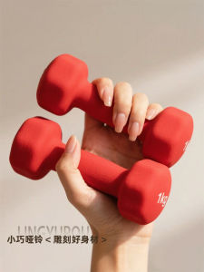Womens Home Fitness Small Dumbbells Hexagonal Plated Colorful Shaping 1kg Yoga 2kg a Pair for Arm Exercise Step Machine