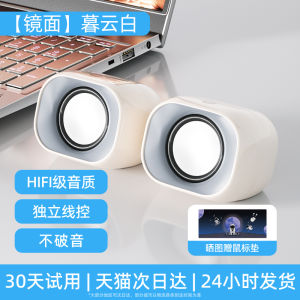 HP Mini Speaker Desktop Computer Laptop Low Bass Cannon Small Speaker Stereo Sound USB Interface Dual Driver Other Power