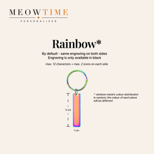 MeowTime Personalised - Laser-Engraved Stainless Steel Keychain Gift for colleagues friends party gifts christmas all occasions