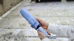 SKY PHIL Automatic Umbrella: Reinforced Windproof Design & Rain Protection