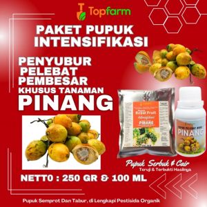 Pupuk Khusus Pelebat Buah Pinang / Pupuk Pinang Terbagus / Obat Pohon Pinang Agar Berbuah / Pupuk Untuk Pohon Pinang
