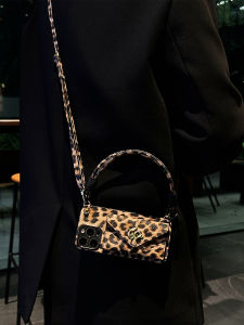 Luxury Snake Leopard Print Coin Purse Detachable Card Holder Handbag Style Womens Mobile Phone Case for Apple 17 pro Max