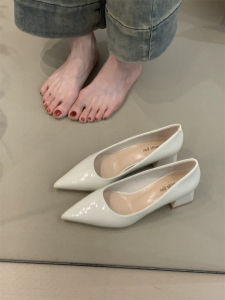 NAISHI | Elegant and Comfortable Commuter Pointed Toe Low-Cut Patent Nude Heeled Shoes