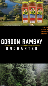 Mật ong hữu cơ Golden Nectar leatherwood Tasmania Úc 500g. Ngon hiếm và tốt nhất trên thế giới