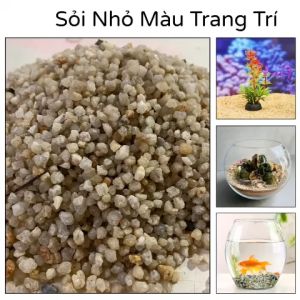 1 Kg Sỏi Suối Ba Màu Tự Nhiên Trang Trí Bể Cá - Hồ Cá - Chậu Thuỷ Sinh Cây Cảnh