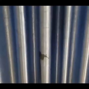 น้ำยาซักแห้งโซฟา น้ำยาทําความสะอาดโซฟาผ้า สเปรย์ซักแห้งโซฟา สเปรย์ทำความสะอาดโซฟา น้ำยาซักโซฟา สเปรย์ฉีดโซฟา แรงขจัดคราบ ขอบเขตการใช้งาน โซฟาผ้า ที่นอน พรม ม่าน เบาะผ้า น้ำยาซักพรม โฟมทำความสะอาดโซฟา ทำความสะอาดโซฟา 520ml