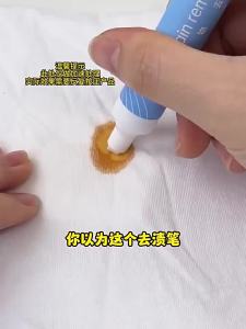 Portable Stain Removal Pen
