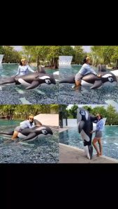 Sainteve แพยางเป่าลม วาฬสีดำ 193*119Cm. SY-A0764