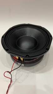 Loa remix bass 20 HIWEL tù 170 côn 76 công suất lớn - giá 1 cái