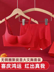Aldola Womens Underwear Set Red Soft Support W-shaped Gathering Bra And Panties Gift Box Set Lucky Year Small Chest Visual Aid