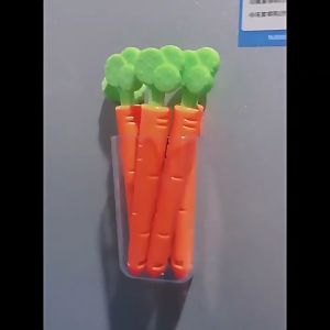 Set 5 Buah Klip Penutup dengan Kotak Penyimpanan Magnetik 5pc Set Sealing Clip with Magnetic Storage Box Portable Kitchen Sealing Clips Reusable Food Sealing Clip Storage Food Snack Seal Clamp Clips Bag Sealer Penyepit Plastik