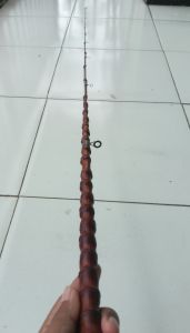 joran pancing bambu cendani