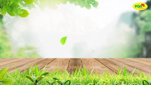 PQA Suy Dinh Dưỡng Hỗ Trợ Tăng Cường Tiêu Hóa Giúp Ăn Ngon Miệng Nâng Cao Sức Khỏe