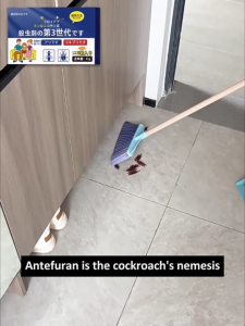 ❌️ No cockroaches within 999 meters❌️ cocroch killer cockroach bait killer roach bait killer kill cockroaches cockroach poison cockroach 蟑螂药 蚂蚁药 repellents cockroach gel bait cockroach trap box Double killing of insect eggs