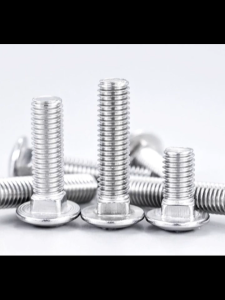 304 Stainless Steel Carriage Bolts Round Head Square Neck Fully Threaded 10PCS for Outdoor Furniture