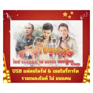 แฟลชไดร์ฟ รวมเพลงขวัญใจลูกทุ่ง ไผ่ มนแคน ไมค์ (100 เพลง)