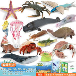 Early Education Cognitive Animal Model Toys Simulation Zoo Toy Box Children Gifts MechiLe Baby Educational Toy Static Dolls