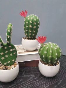 Đồ Trang Trí Nhà Phong Cách Scandinavia Bằng Nhựa Cactus Giả Bông Hoa Giả Bộ Trang Trí Nhà Bằng Nhựa Cactus Nhiều Màu