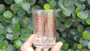 LUCKY แก้วตวงสเกล รุ่น Classic Scale Tumbler LG-103006 ขนาด 140 ML. 6 ใบ ประกันแตก